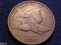 eagle.webp