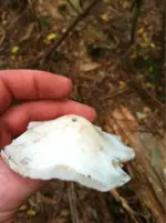 image-1778991863.webp