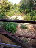 image-2157479420.webp
