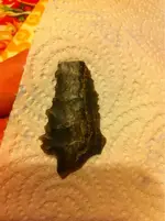 image-1109951633.webp