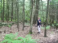 101_3805.webp