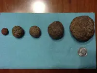 Mystery Rocks.webp