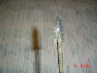 arrows 002.webp arrows 002.webp