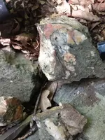 image-85803814.webp