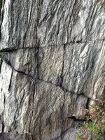 image-189682312.webp
