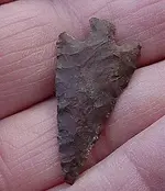 Nevada8.webp