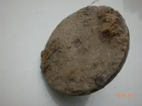 CIMG0015.webp