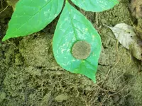 100_2751.webp