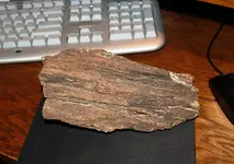 wood 001.webp