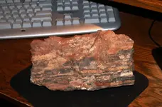 wood 003.webp