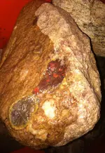 image.webp