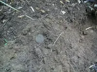 101_4015.webp