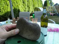 SDC13609.webp