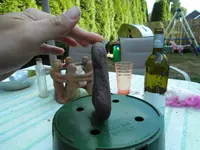 SDC13610.webp