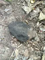 image-3027835872.webp