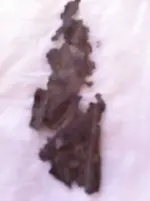 image-3088499701.webp