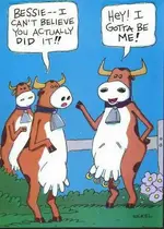 cowjoke.webp