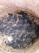 secret dig b.webp