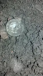 IMG_20130905_180413_187.webp