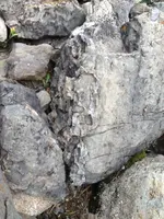 image-4052268774.webp