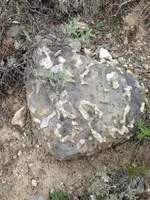 image-478308509.webp
