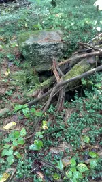 ForumRunner_20130913_181310.webp