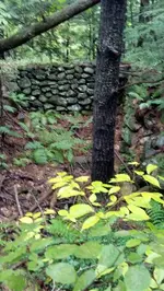 ForumRunner_20130913_181536.webp