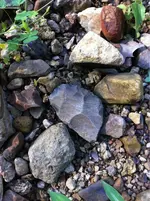 image-3256711000.webp