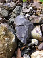 image-425169406.webp