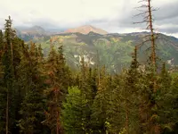 creede trip 1.webp