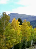 creede trip 4.webp