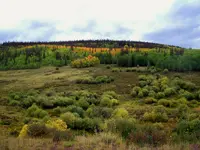 creede trip 5.webp