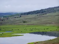creede trip 5a.webp