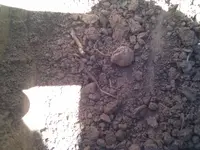 IMG_20130918_121047.webp