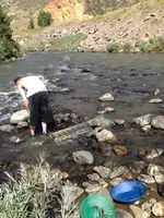 image-822731950.webp