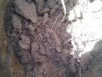 IMG_20130918_130926.webp