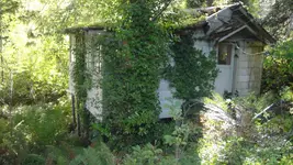 DSC04956.webp