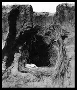0086-0437-Model-of-cache-pit.webp