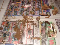 DSC04836.webp