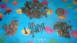 2830_800_450.webp