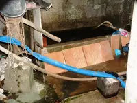DSCF0028.webp