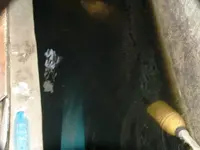DSCF0036.webp