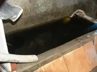DSCF0043.webp
