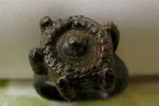 poison-ring-Kavarna-2-600x400.webp