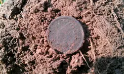 IMAG0541.webp
