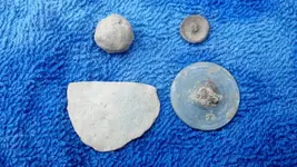 IMG_20130818_163910_685.webp