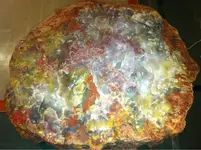 image-3302790186.webp
