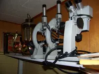 100_4401.webp