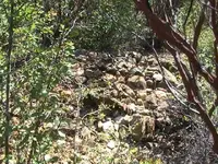 manzanita deep.webp