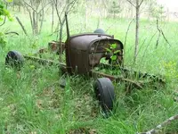 IMG_0115_1.webp